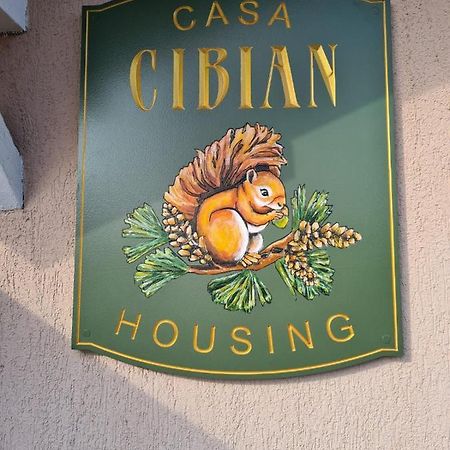布拉索夫Casa Cibian公寓 外观 照片