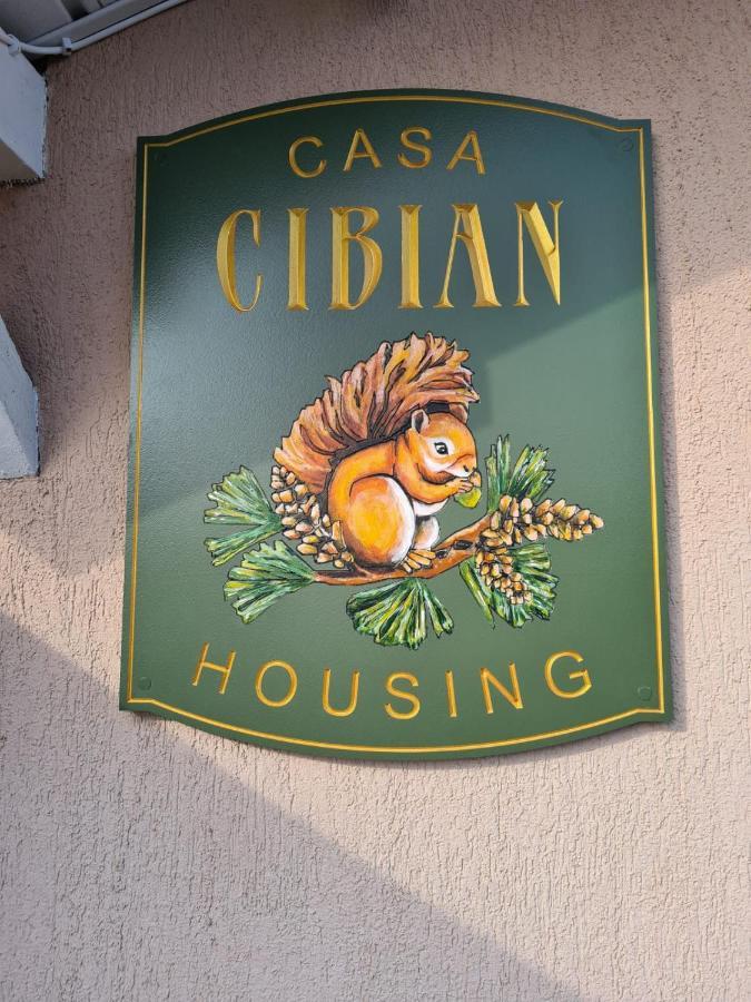 布拉索夫Casa Cibian公寓 外观 照片