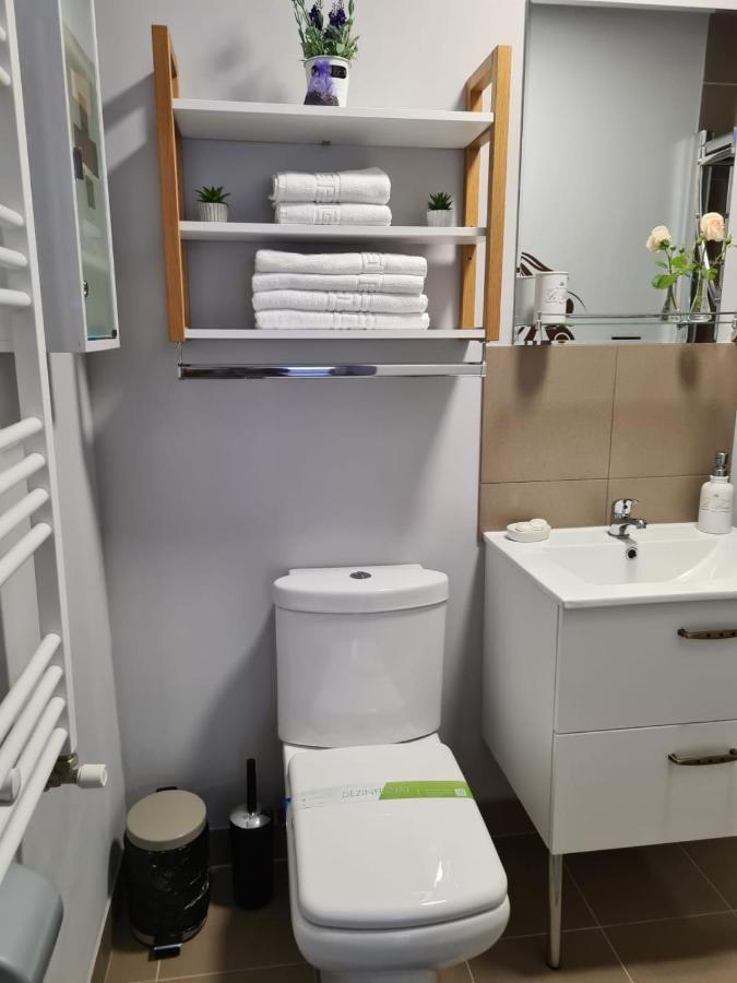 布拉索夫Casa Cibian公寓 外观 照片